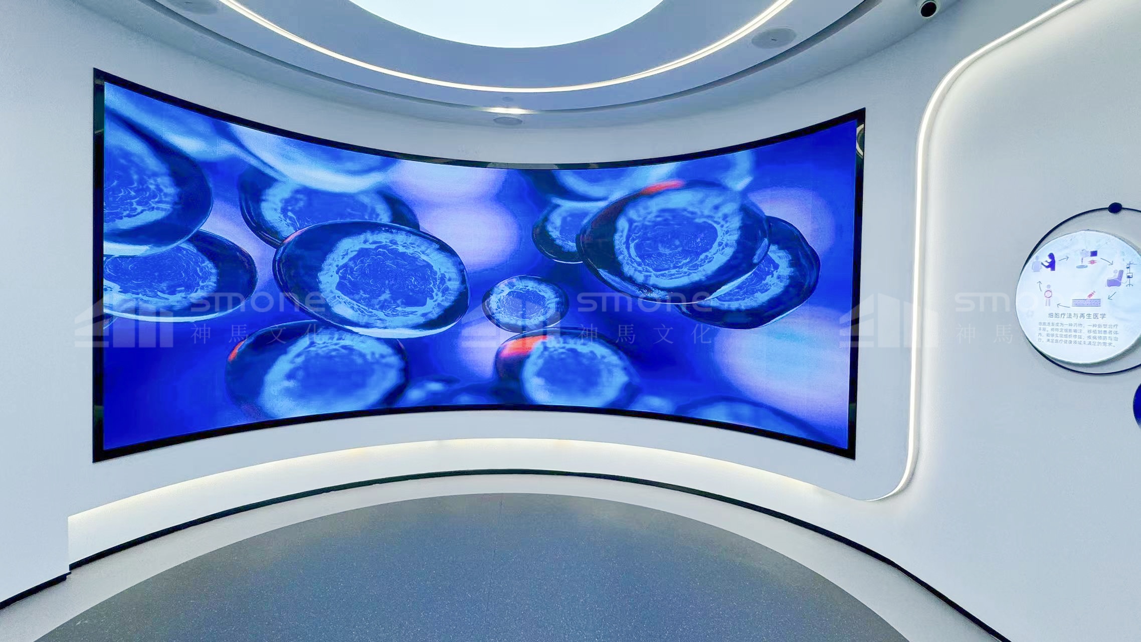 奧本先康達實拍圖 (14).jpg