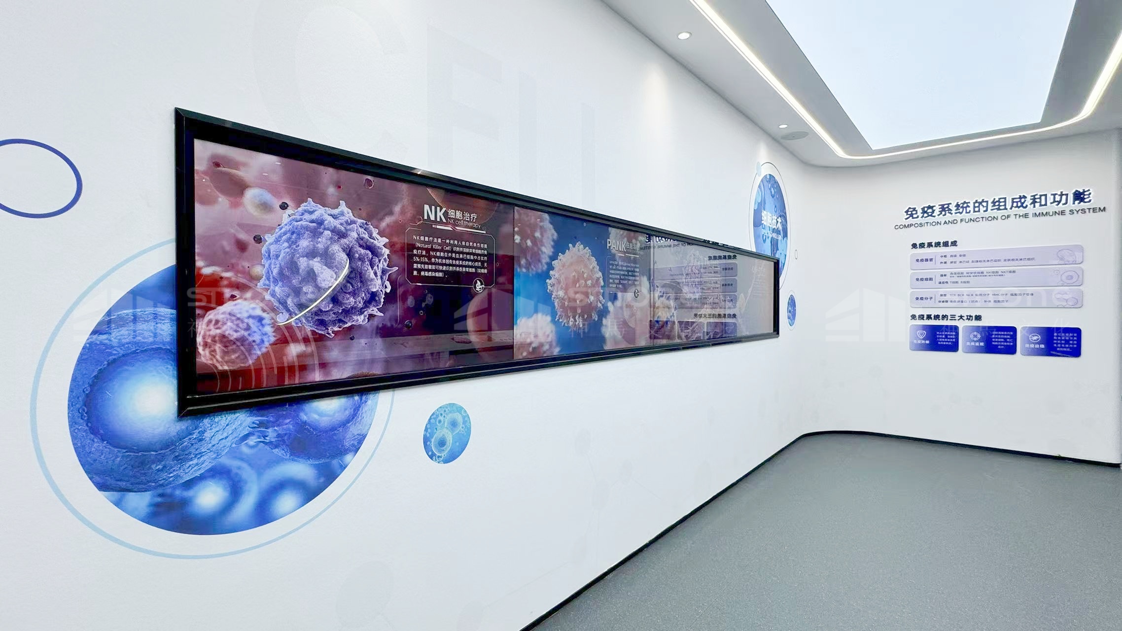 奧本先康達實拍圖 (9).jpg