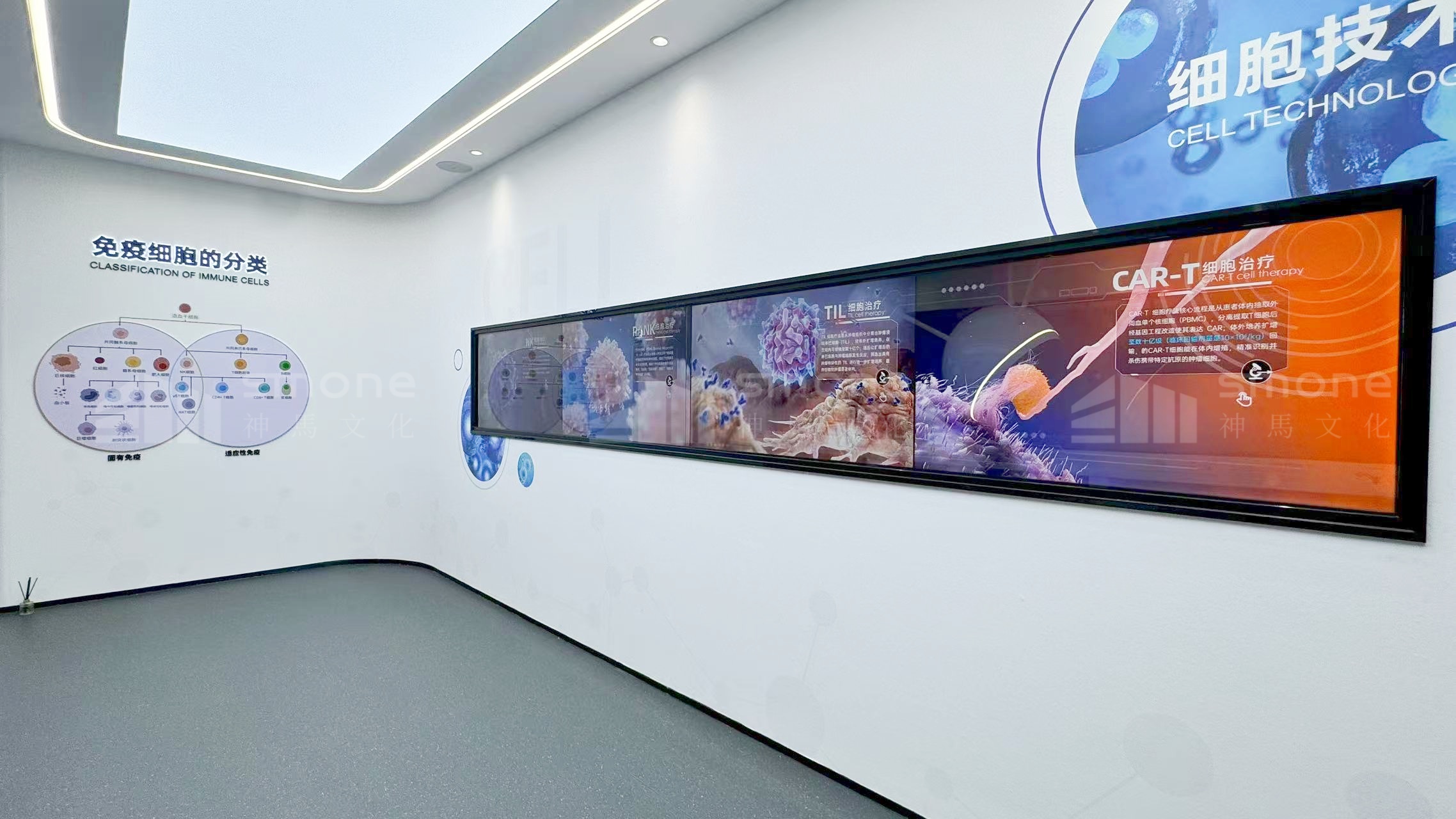 奧本先康達實拍圖 (6).jpg