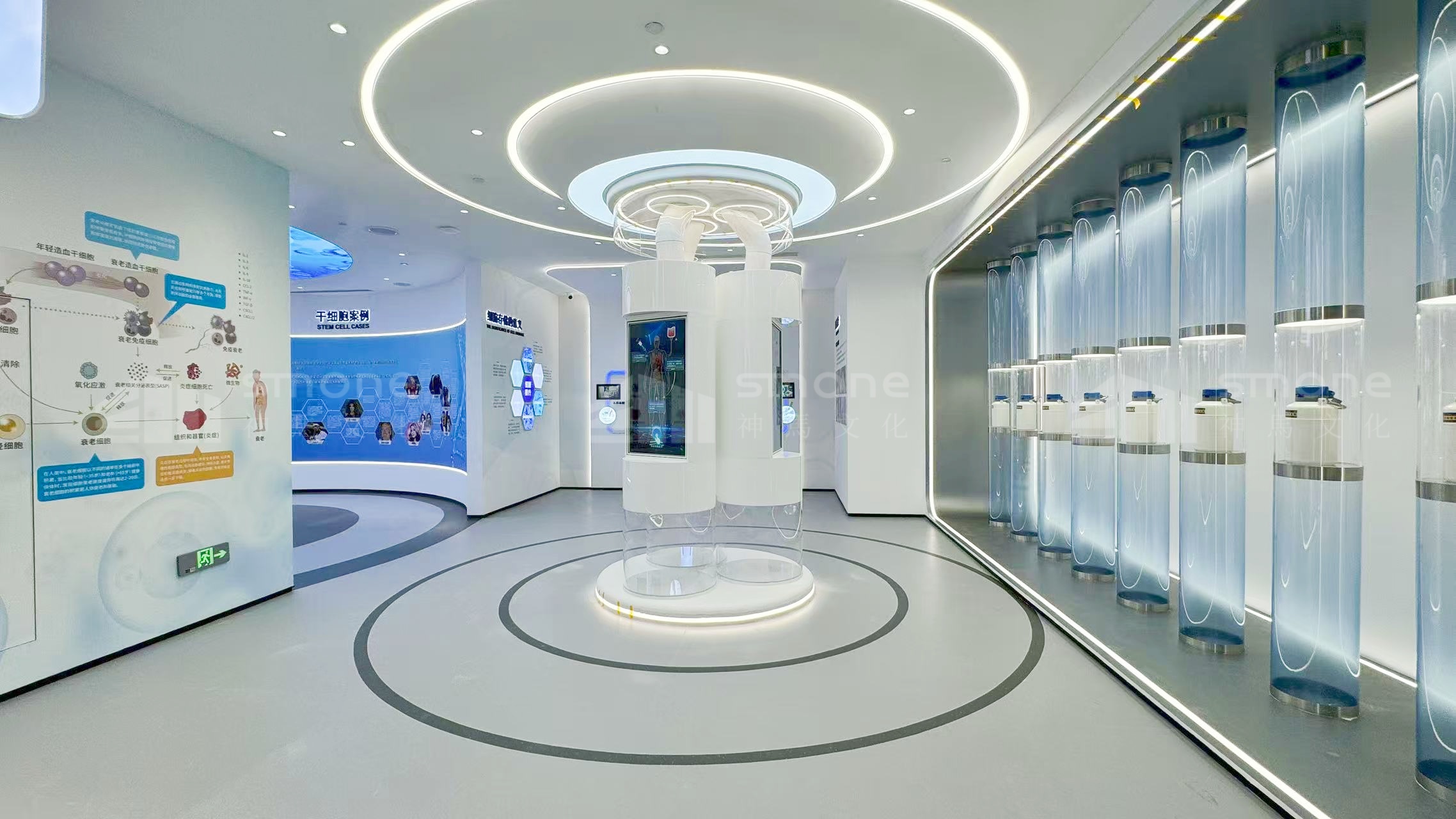 生物醫療展廳能 “釣魚”？這波操作讓客戶上鉤還想 “再釣一次”｜生物科技展廳設計｜干細胞展廳設計｜生物肽展廳設計｜干細胞科普館設計