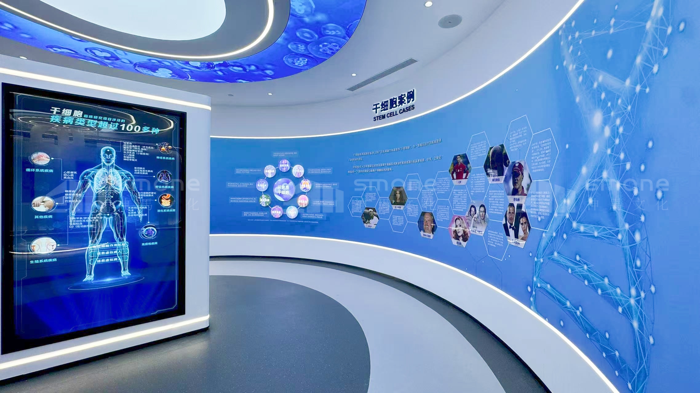 找展廳服務(wù)商怕踩坑？神馬文化的 “信任說明書”｜神馬文化展廳設(shè)計頭部公司｜干細胞展廳設(shè)計｜生物肽展廳設(shè)計｜生物醫(yī)療展廳｜干細胞科普館