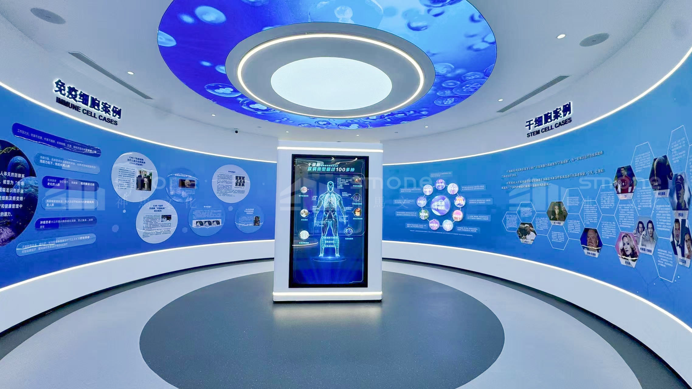 生物肽展廳設計：神馬文化破解 “概念模糊” 傳播難題｜生物醫藥展廳設計｜生物醫療展廳設計｜生物肽展廳設計｜干細胞展廳設計｜神馬文化